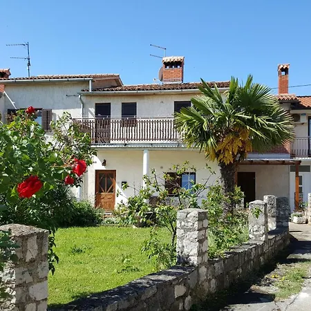 Sanja Novigrad Dajla