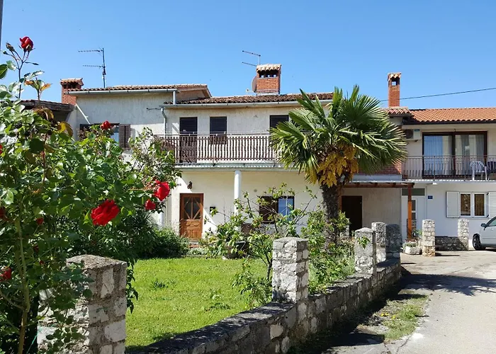 Sanja Novigrad Dajla