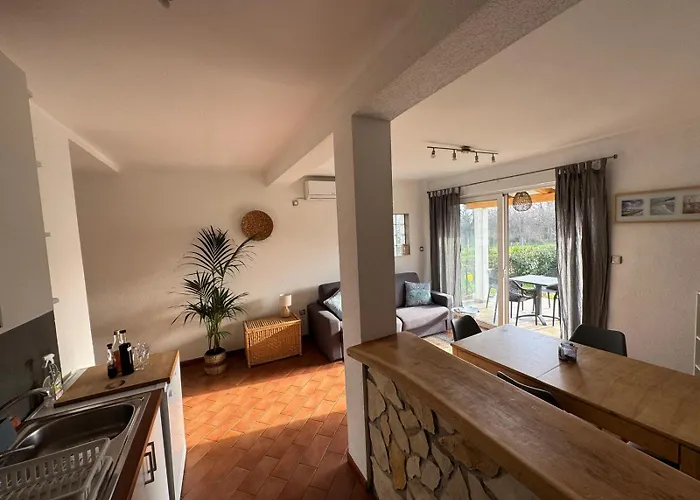 Sanja Novigrad Dajla